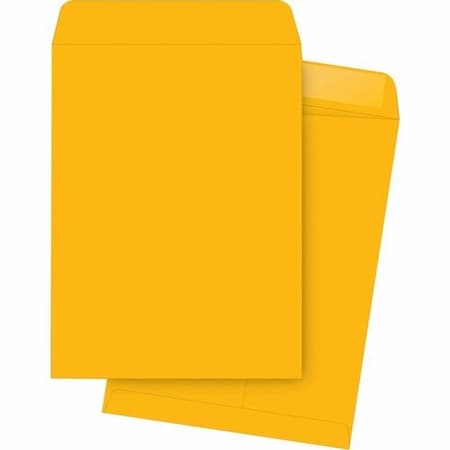 Business Source Catalog Envelopes, Plain, 10inx15in, 2 Kraft BSN42115